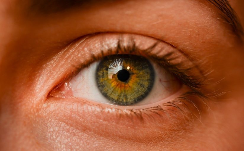 Oczy to ekstrawagancki organ. To otóż to dzięki nim widzimy.